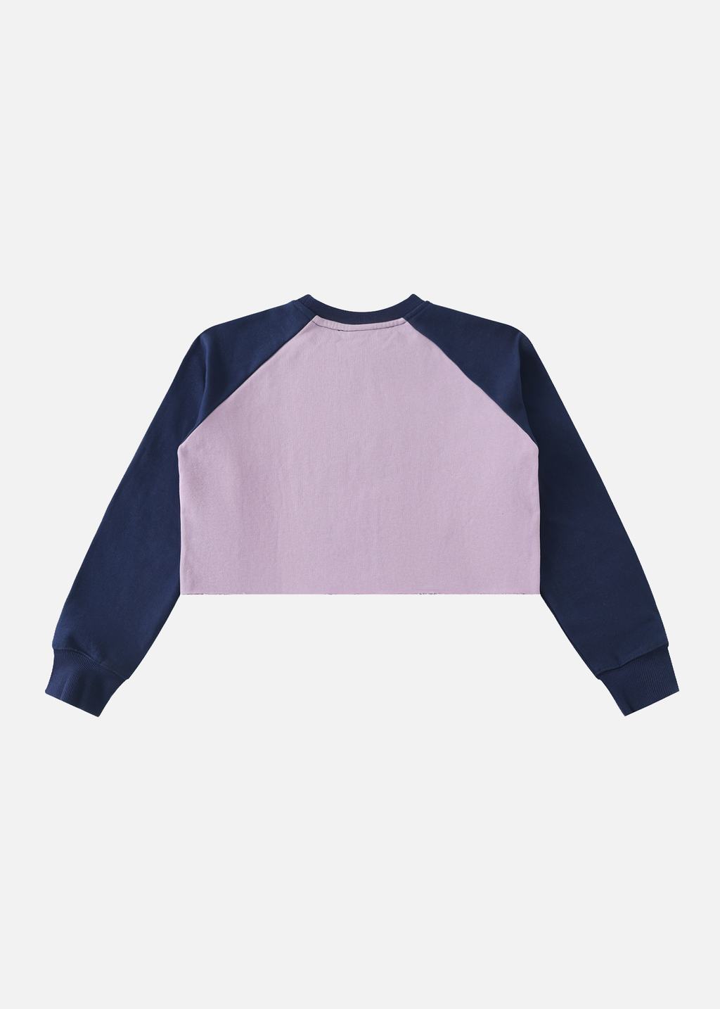 Vice Colour-Block Purple & Royal Blue Raglan Crop Sweatshirt