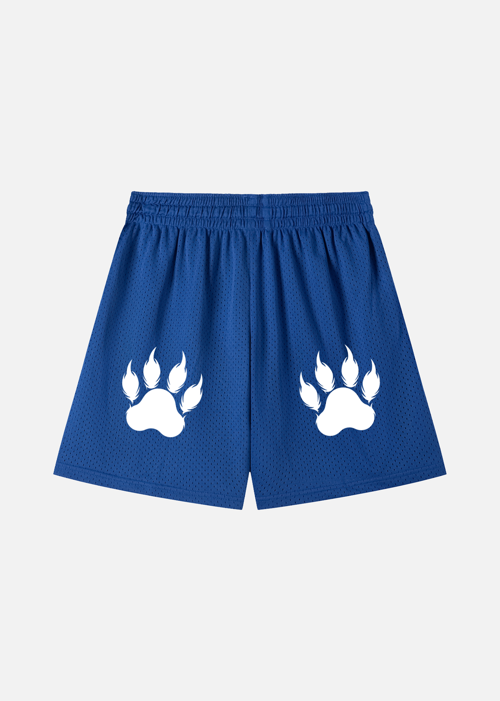 Brody Colourful Blue Mesh Drawstring Shorts