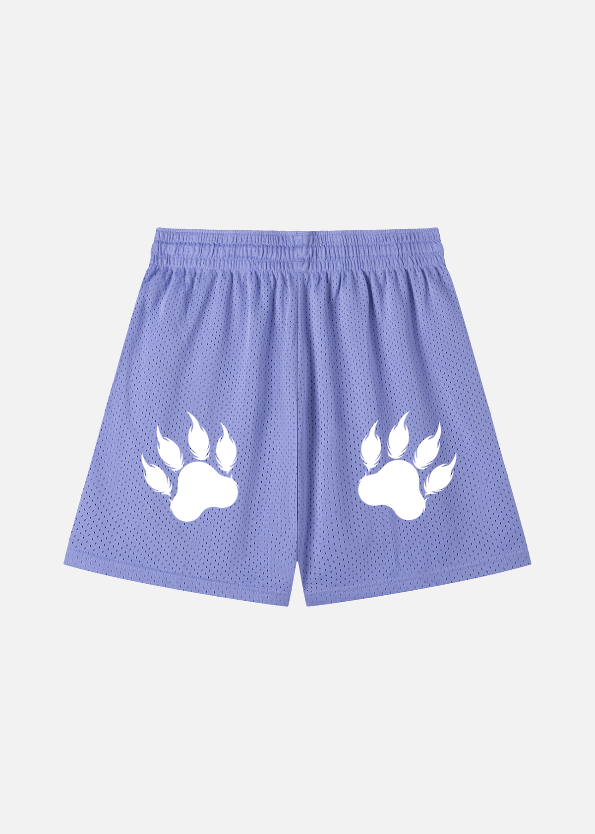 Brody Purple Mesh Drawstring Shorts
